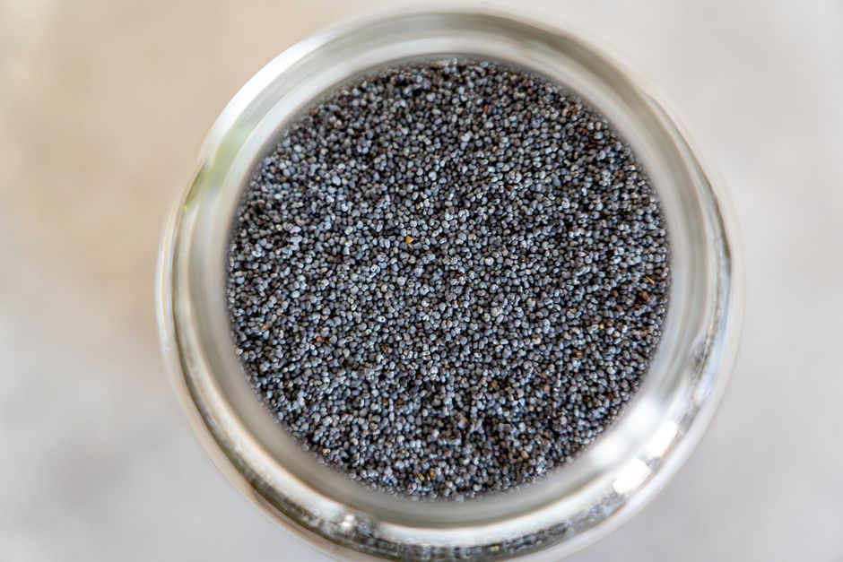 DIY Chia Pet
